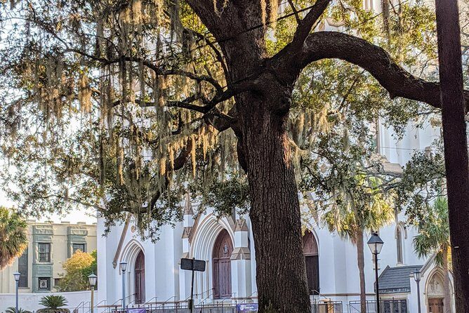 Savannah VIP Tour: Private Full-Day Tour - Tybee Island Light Station and Museum Plus Tybee Pier: The Lowcountry Finale