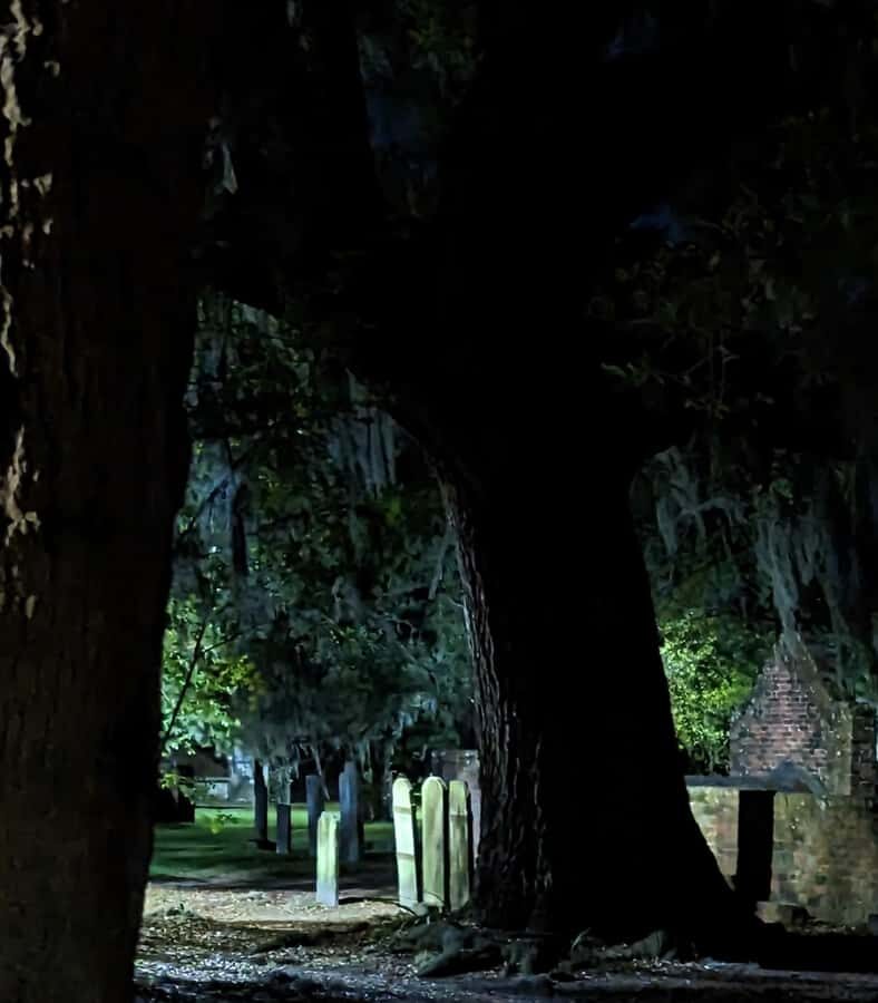 Spirit Xperience: Paranormal Walking Ghost Tour in Savannah - Mike and Ty: why their roles shape the whole night