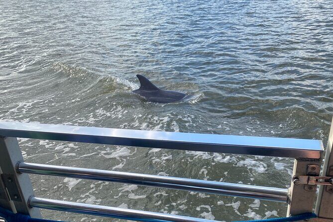Sunset Dolphin Eco Tour - BYOB and snacks: how to handle drinks without turning it messy