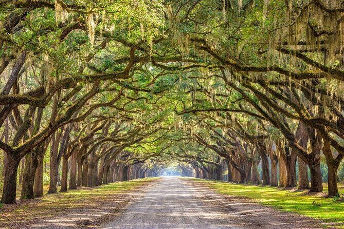 The History Buff: Savannah Walking Tour - Should You Book This Tour?