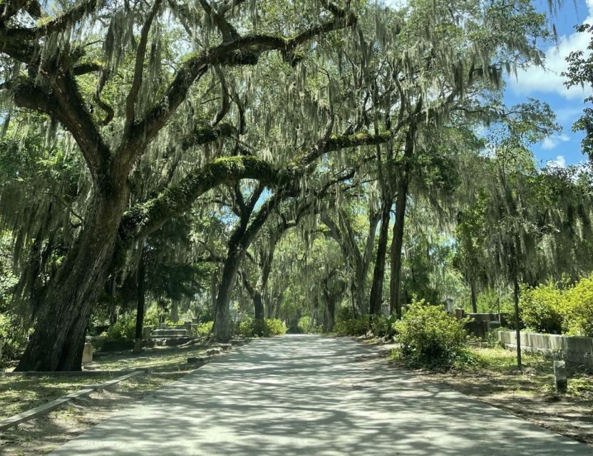 Tombs of Savannah: Bonaventure Cemetery Experience - Key Highlights You’ll Actually Care About